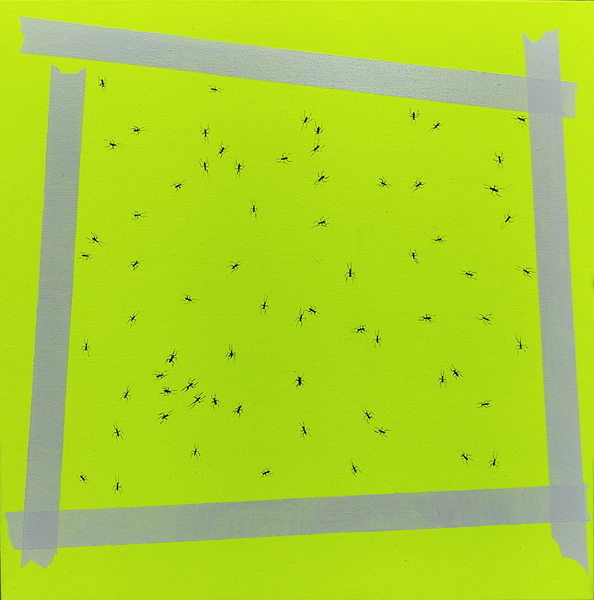 opere image